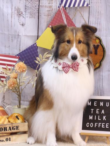 20240906ティーラちゃん